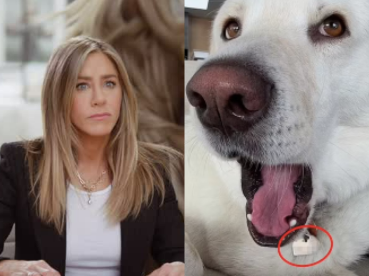 Número em Jogo: O Erro de Jennifer Aniston que Desnudou a Solidão das Celebridades na Era Digital